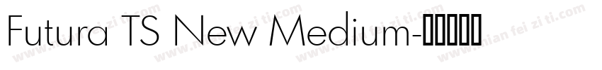 Futura TS New Medium字体转换